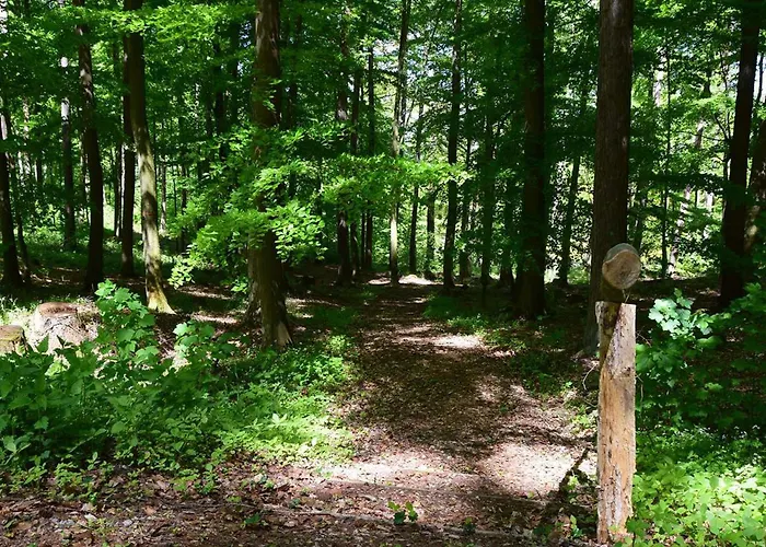 Hébergement de vacances Torhaus Schloss Wocklum *